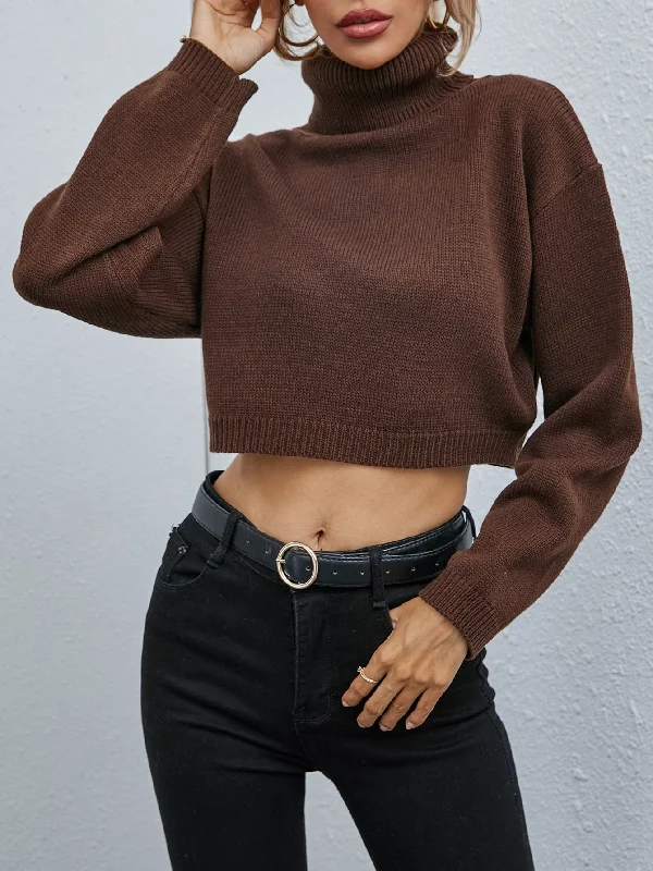 Casual Plain Rib-Knit Long Sleeve High Neck Crop Women Sweater