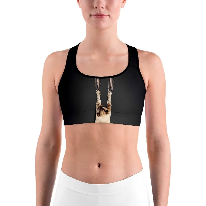 Scratching Cat Sports bra Modern Women's 