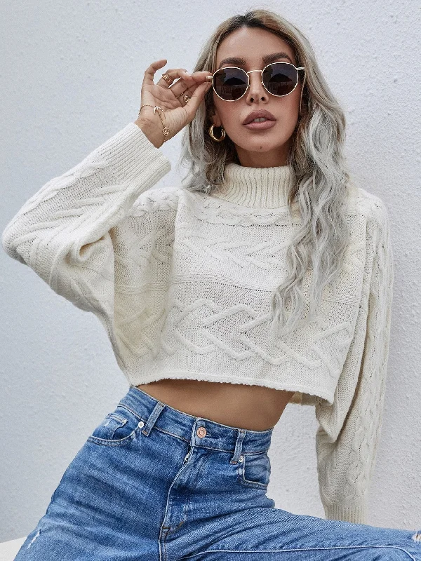 Casual Plain Long Sleeve High Neck Crop Women Sweater